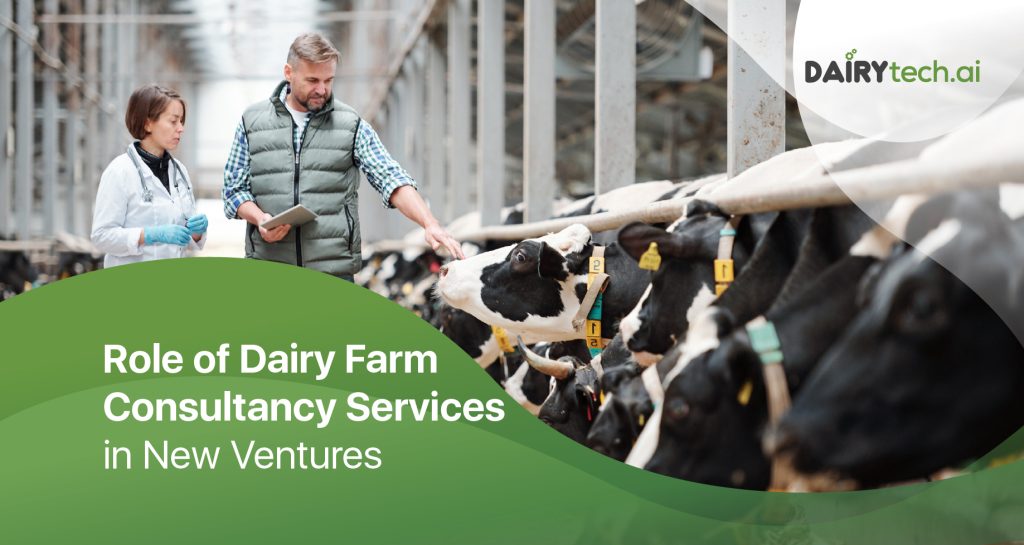 dairy farm consulting