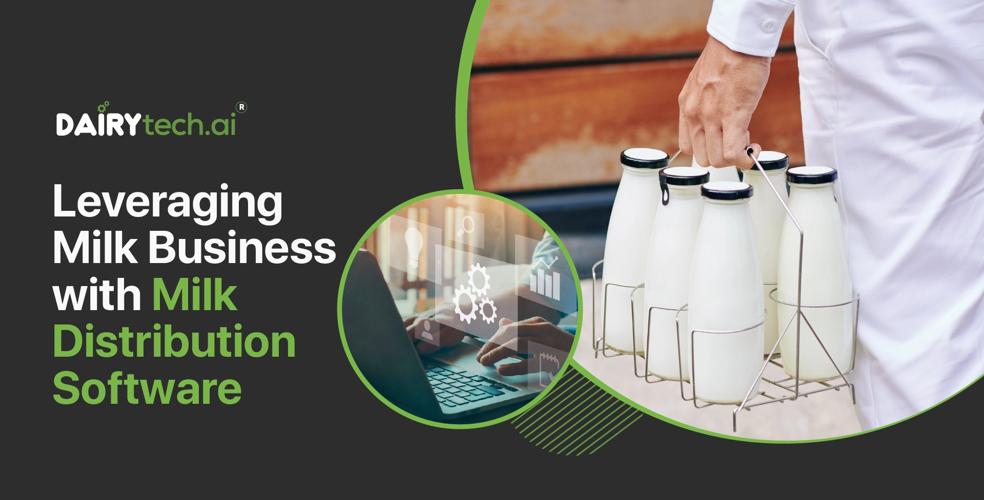 business plan for milk distribution